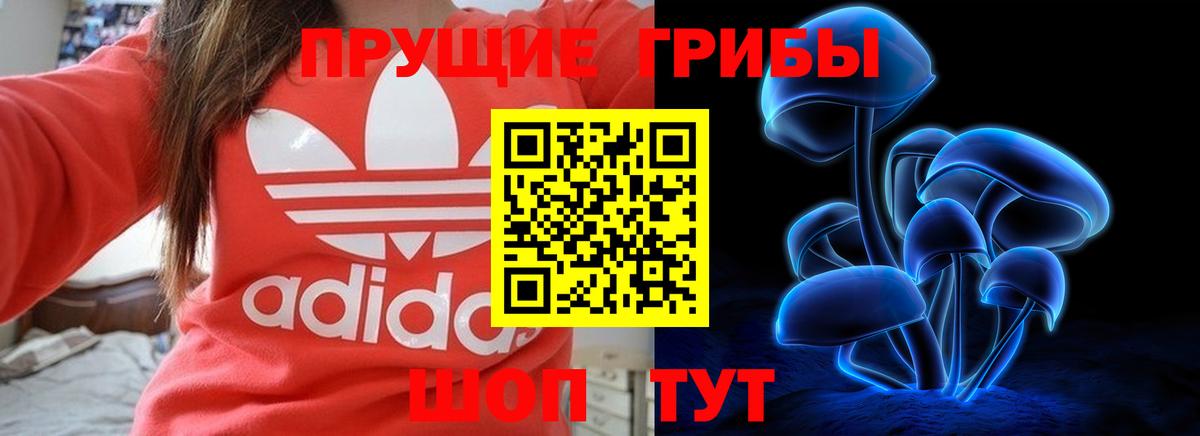 Псилоцибиновые грибы ЛСД  Вход с VPN  Псилоцибиновые грибы Psilocybe  Железноводск 